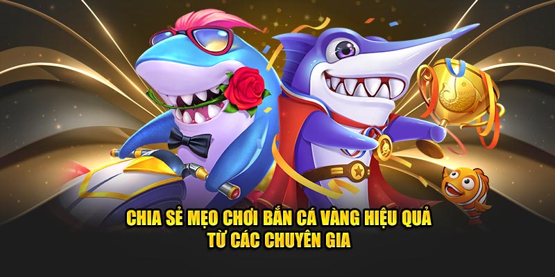 Bắn Cá Vàng - Trải Nghiệm Game Đổi Thưởng Hàng Đầu 3 Chia sẻ mẹo chơi Bắn Cá Vàng hiệu quả từ các chuyên gia