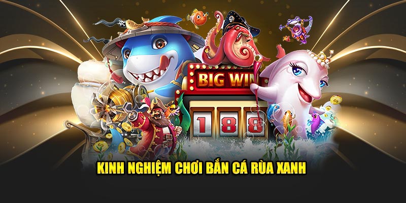 Bắn Cá Rùa Xanh Nơi Các Cược Thủ Thoải Sức Đam Mê 3 Kinh nghiệm tham gia bắn cá rùa xanh